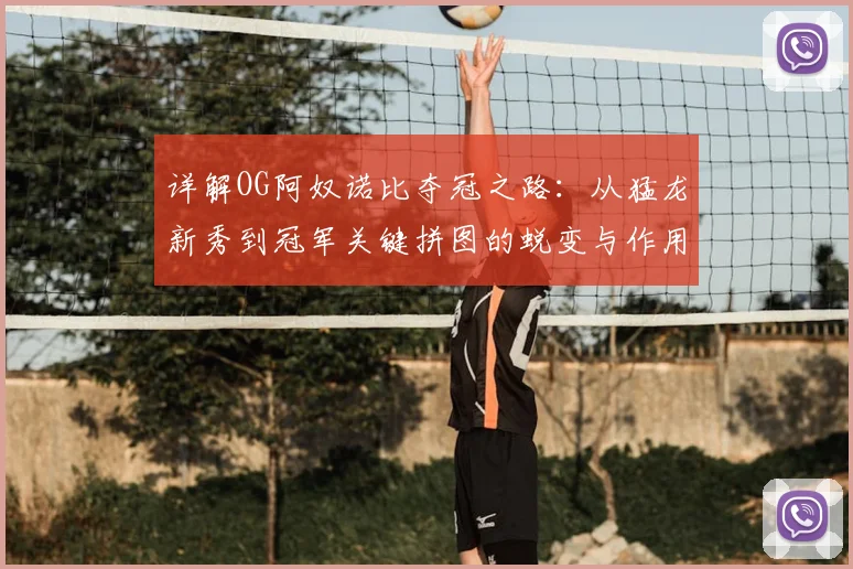 详解OG阿奴诺比夺冠之路：从猛龙新秀到冠军关键拼图的蜕变与作用