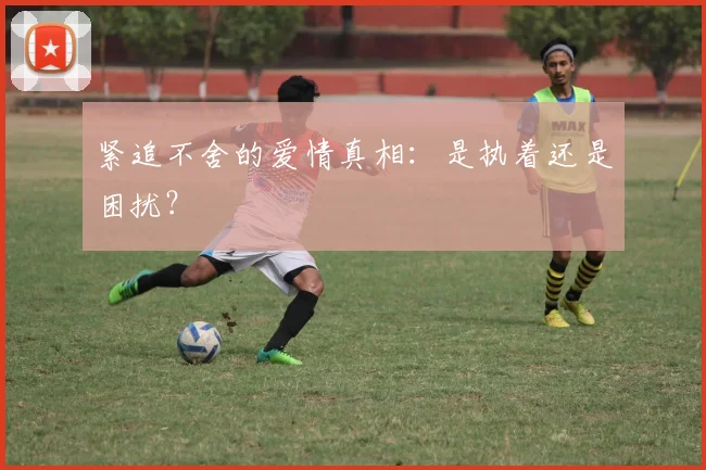 紧追不舍的爱情真相：是执着还是困扰？