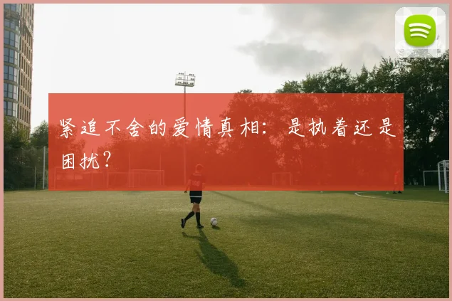 紧追不舍的爱情真相：是执着还是困扰？
