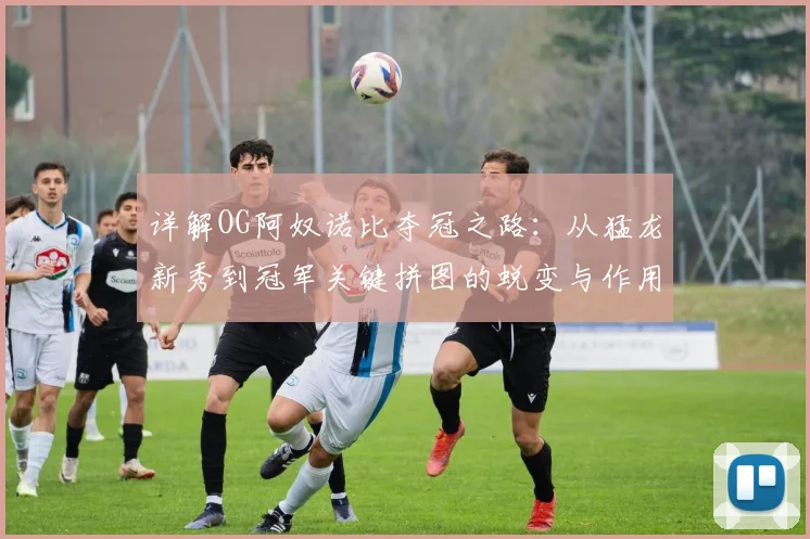 详解OG阿奴诺比夺冠之路:从猛龙新秀到冠军关键拼图的蜕变与作用